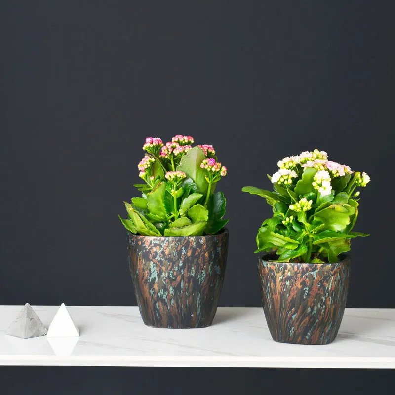 

Discount Indoor Cement Nordic Big Pots Planter Best Seller
