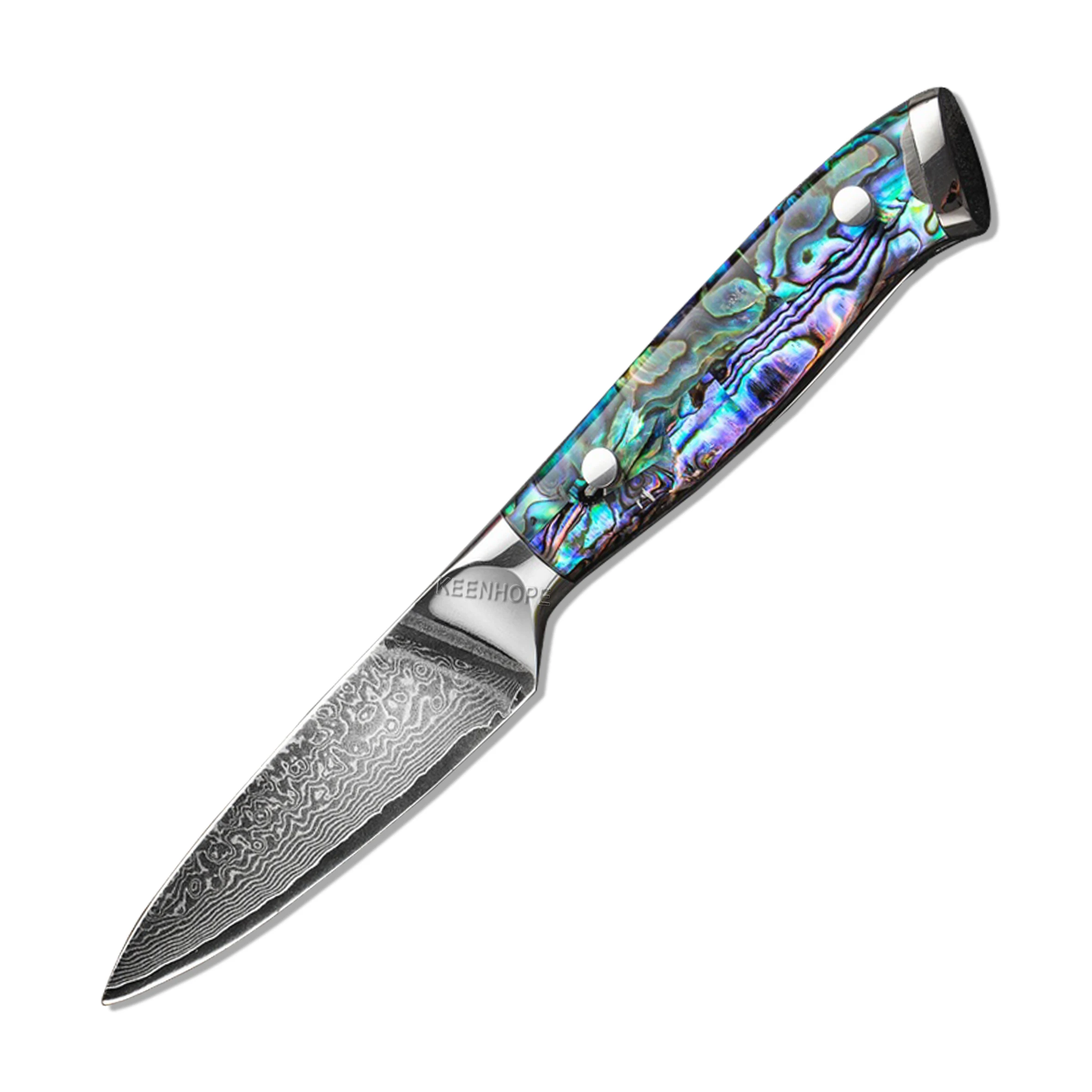 

3.5 inch Paring Knife Damascus Kitchen Knife 67 Layers Damascus Steel with Abalone Shell Handle