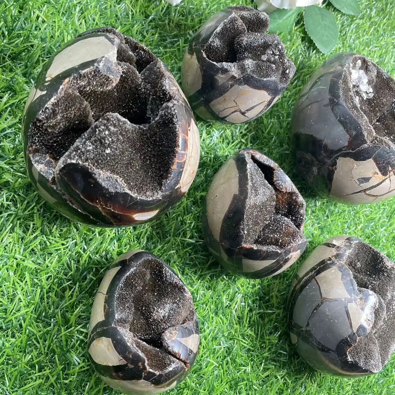 

Natural rock dragon eggs septarian gemstone septarium fossils for decorations healing crystal with druzy