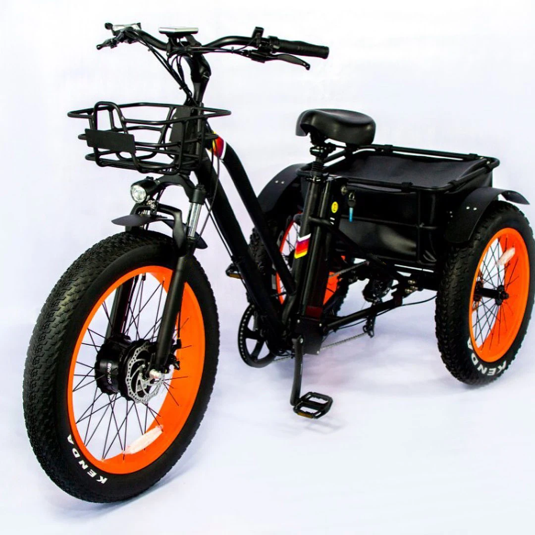 2019 500w 750w 3 Wheel Fat Tire Electric Cargo Bike Tricycle With Cheap