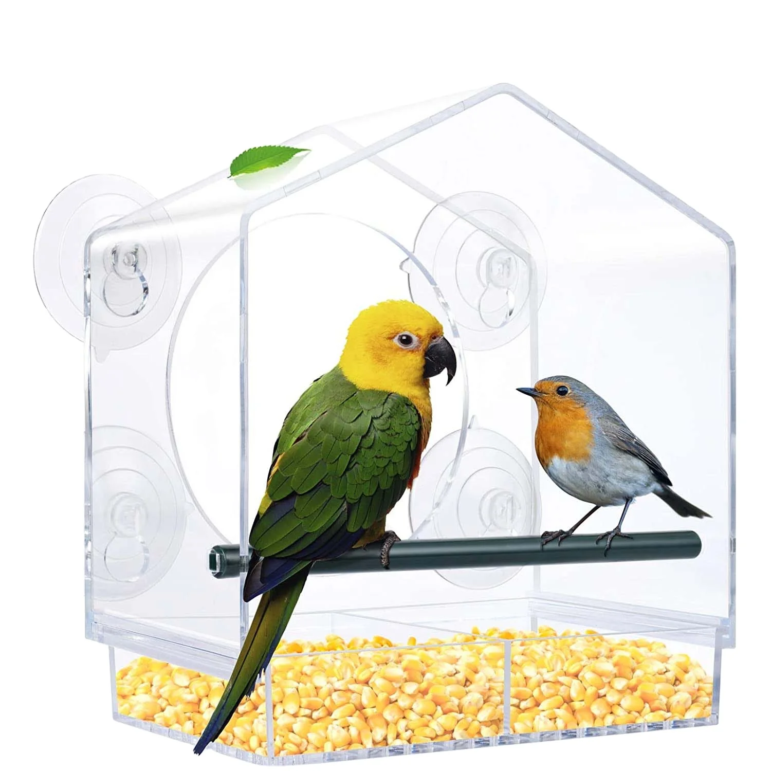 

Acrylic squirrel transparent window bird feeder with strong suction cup and sliding seed tray