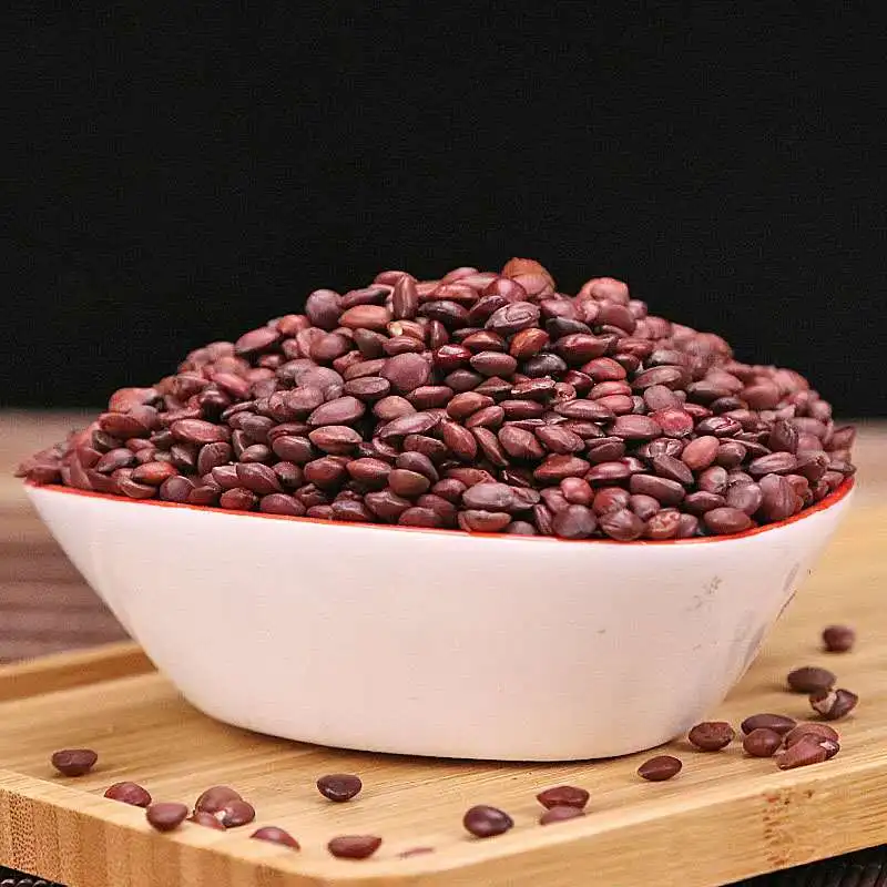 酸枣仁红枣spine date seed酸枣仁治疗失眠批发香料和中药