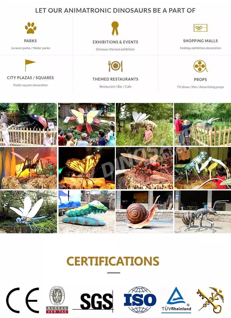 AI certificate.jpg