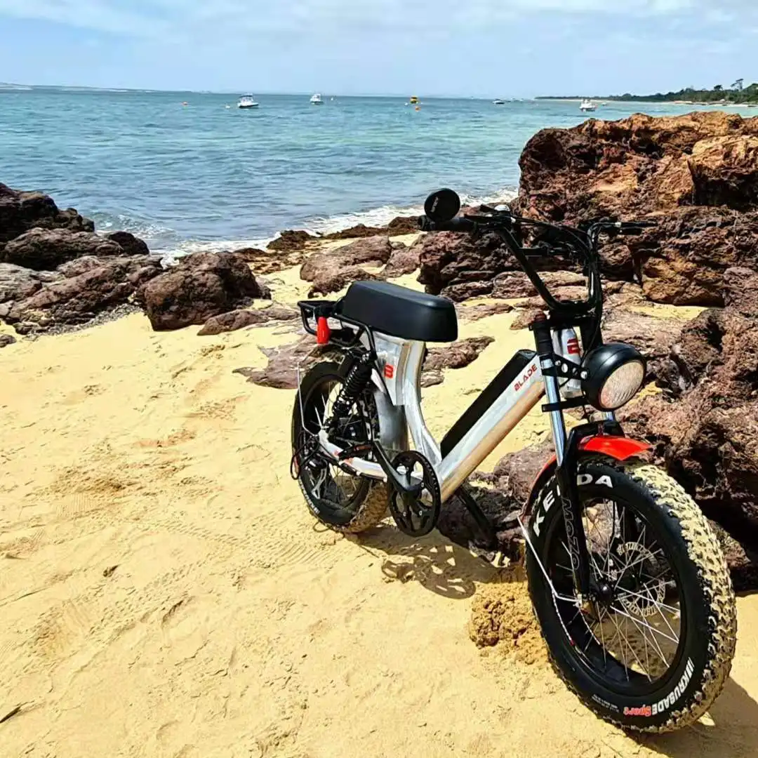 

Europe classic bike 20 inch fat tire 500w 750W 1000W Electric Bicycle Retro Vintage long saddle Fat E Bike