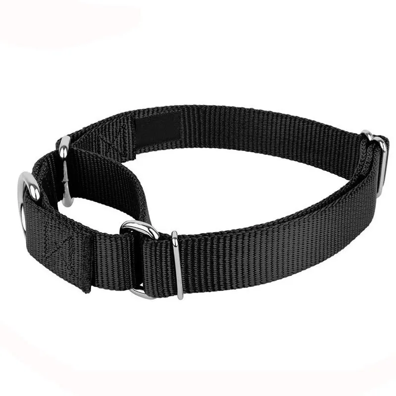 nylon dog collar with metal buckle