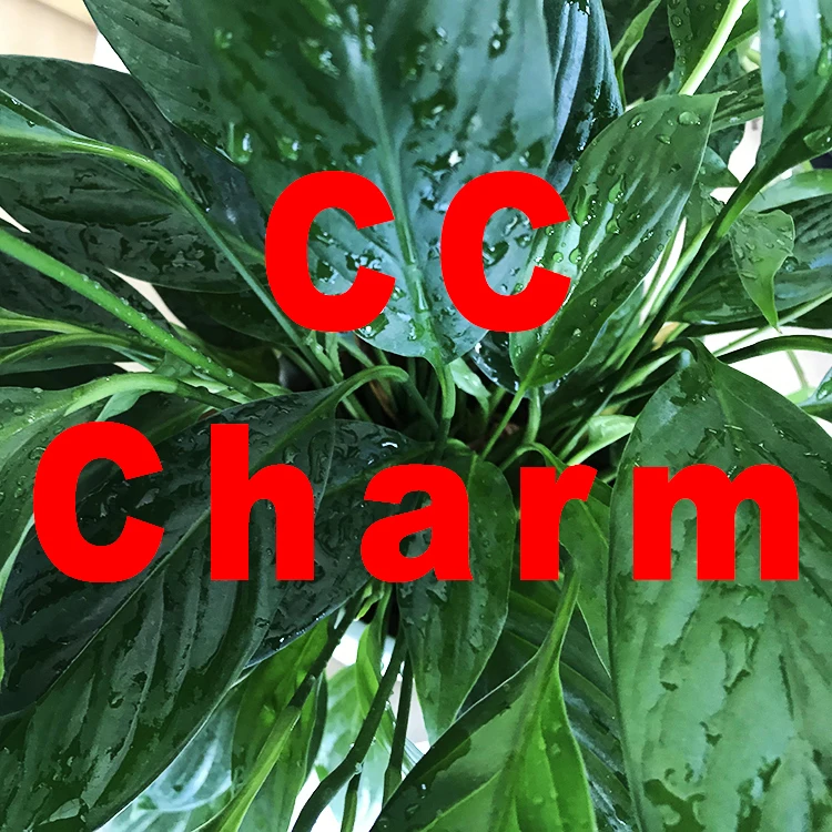 

designer pendants inspirational quote designer charms for diy bracelet