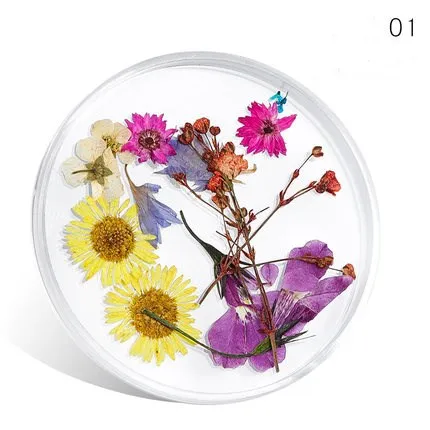 Daisy Crystal For Crafts Chrysanthemum Flower Craft Dried Flowers Candles Nail Art Decoration 3d Buy Nail Art Decoration 3d Nail Decoration 3d Nail Art Dried Flowers Candles Product On Alibaba Com