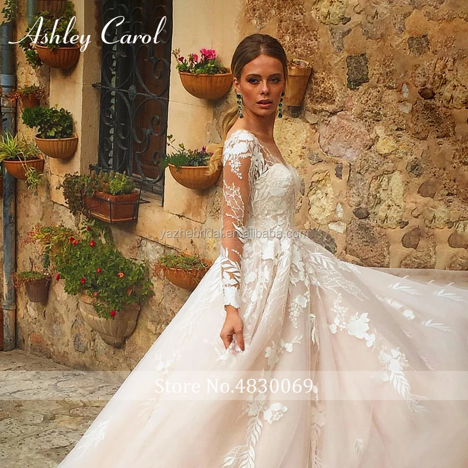 Sexy V-neck Appliques Tulle Wedding Dress 2020 Illusion Backless Long Sleeve Princess Boho Lace Wedding Gowns