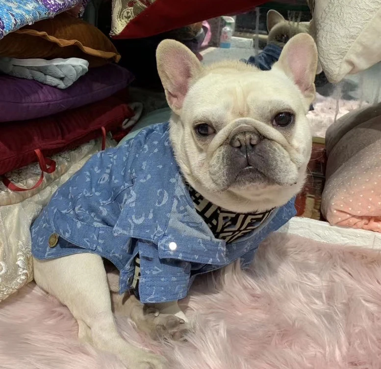 

Hot selling luxury brand designer pet jacket jean custom dog clothes