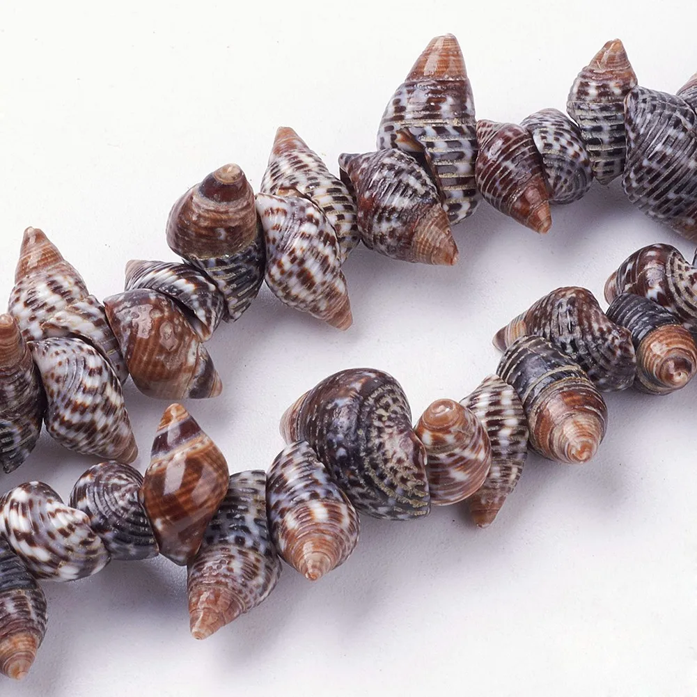 

Pandahall Cheap Natural Spiral Shell Beads