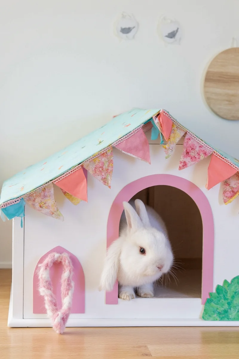 A completed DIY bunny house sitting next to a couch with a happy rabbit peeking out.