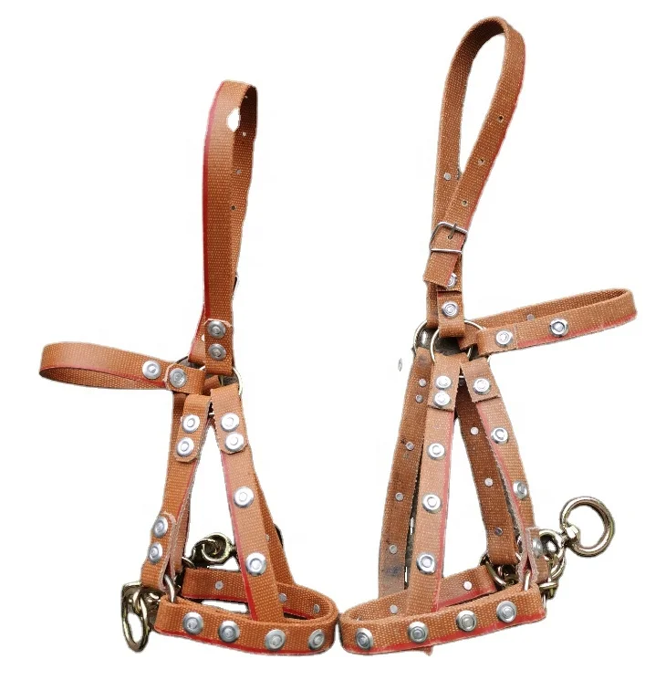 

Heavy duty .High quality Strong Adjustable leather Horse Bridle Horse halter Cavesson with bit