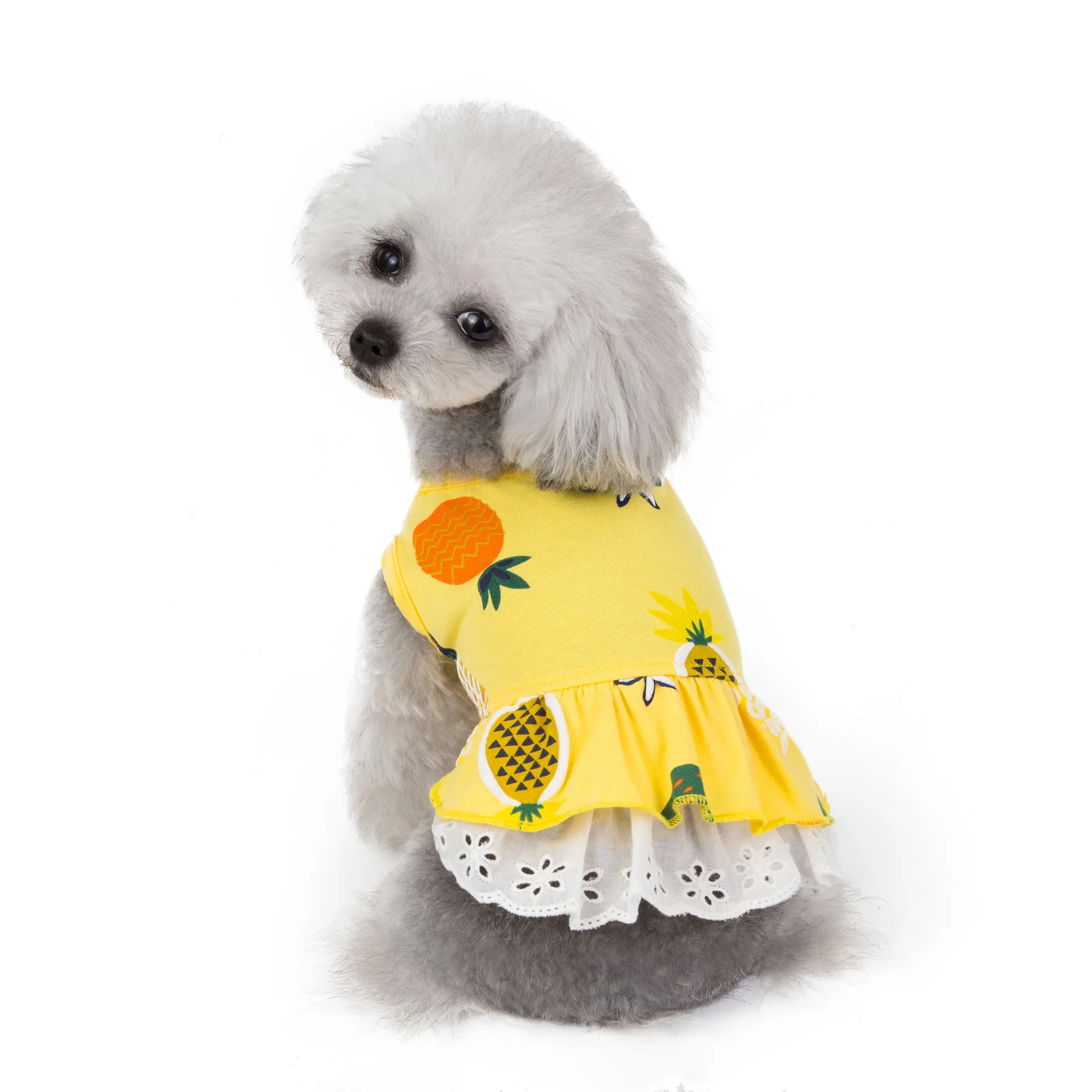 

Good Quality Pet Dress Dog Clothes Pet Dog Dress Fruit Dress, Green,yellow,white