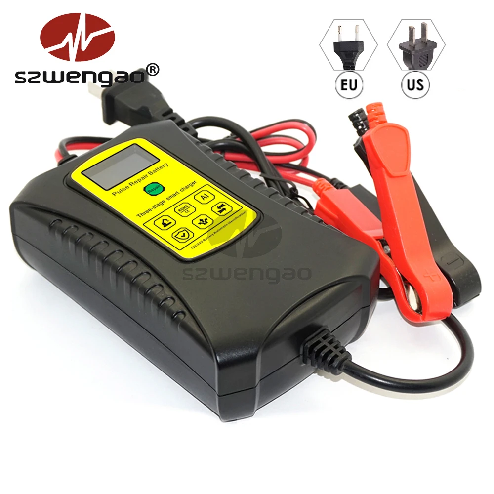 

12V 24V Smart car Battery Charger for Lead-acid & Lithium Battery