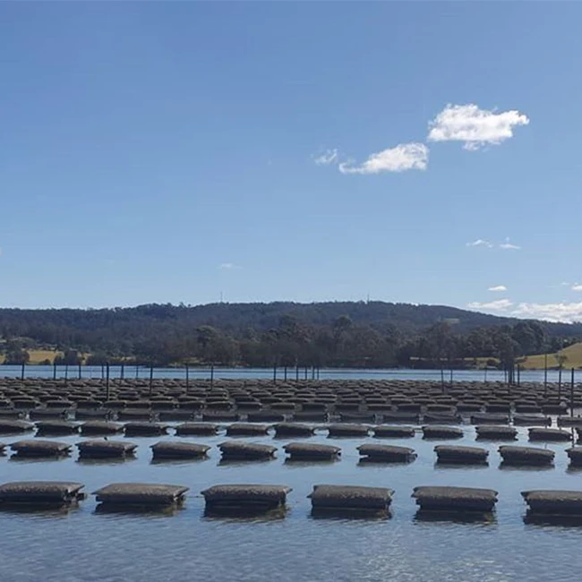 
oyster bags as oyster trap,HDPE Oyster mesh,oyster growing bag 