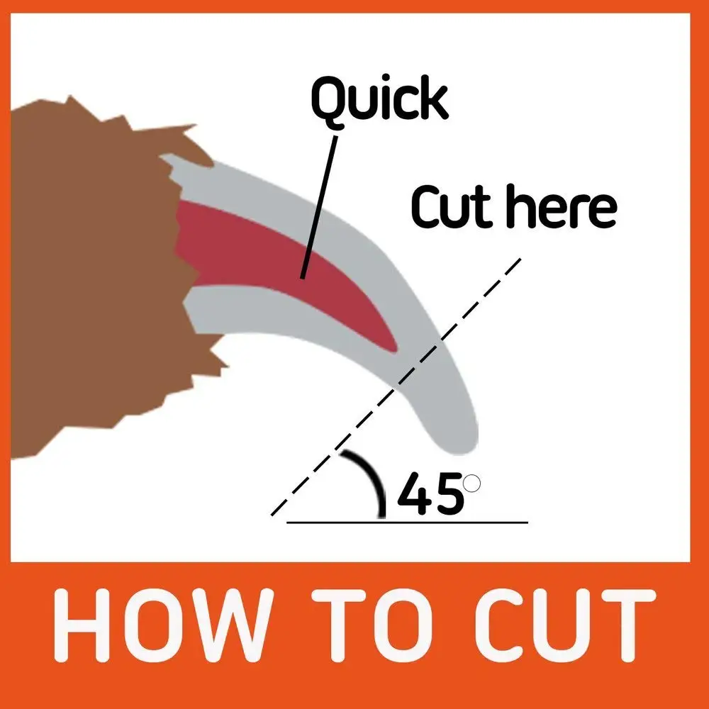 Pet Nail Clipper (6).jpg