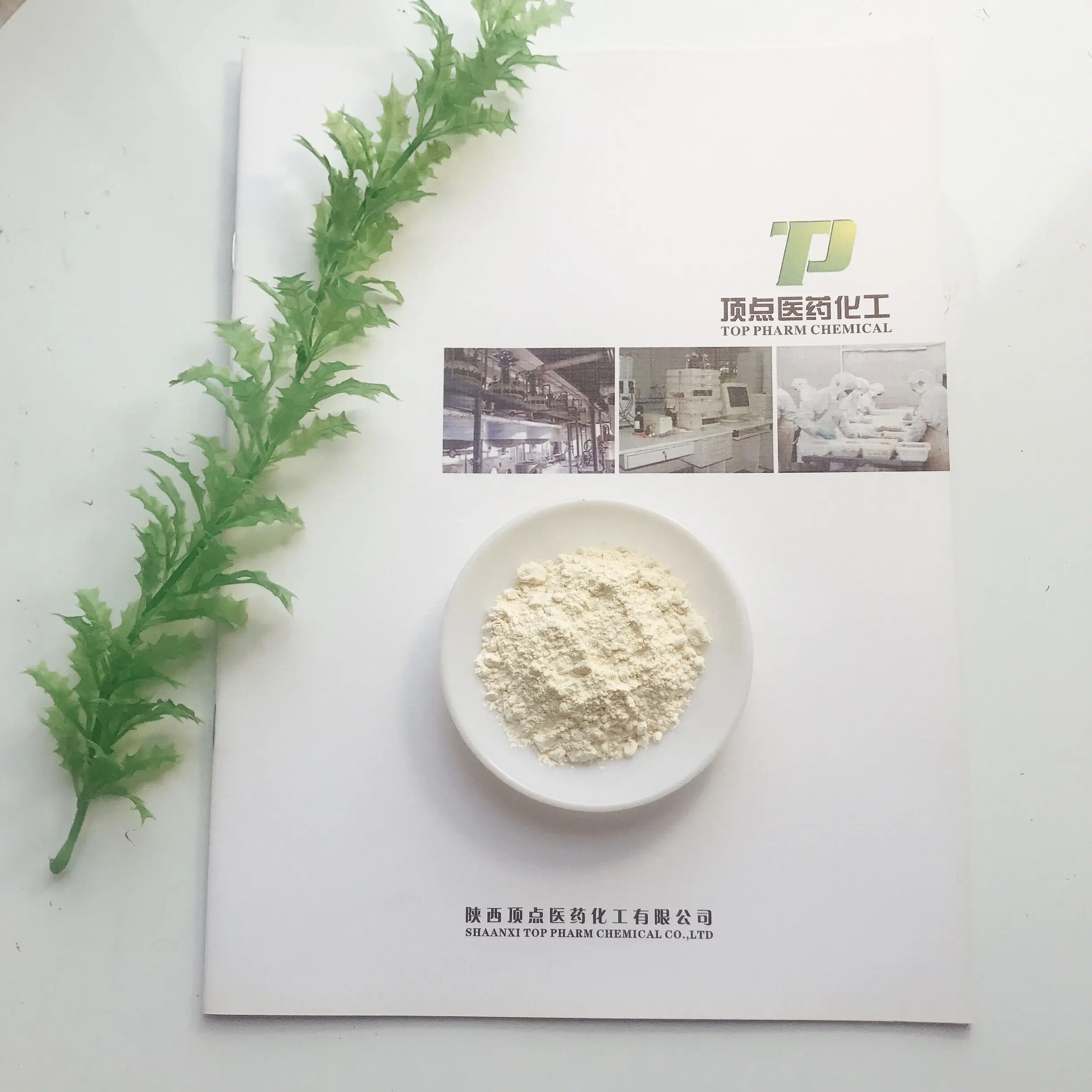 
Food Additive Sodium Caseinate 9005-46-3 manufacturer 