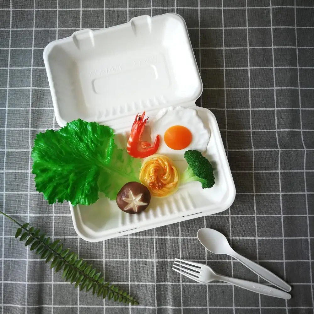 

Durable Disposable Food Box Clamshell Compostable for Catering Services and Takeaway Food, White or natural