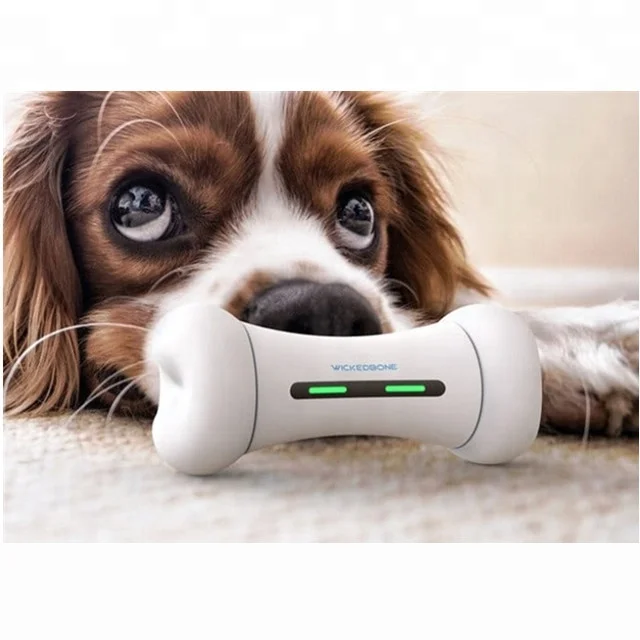 

2020 new project WICKEDBONE: World s First Smart & Interactive Dog Toy, Bule/green/pink/white