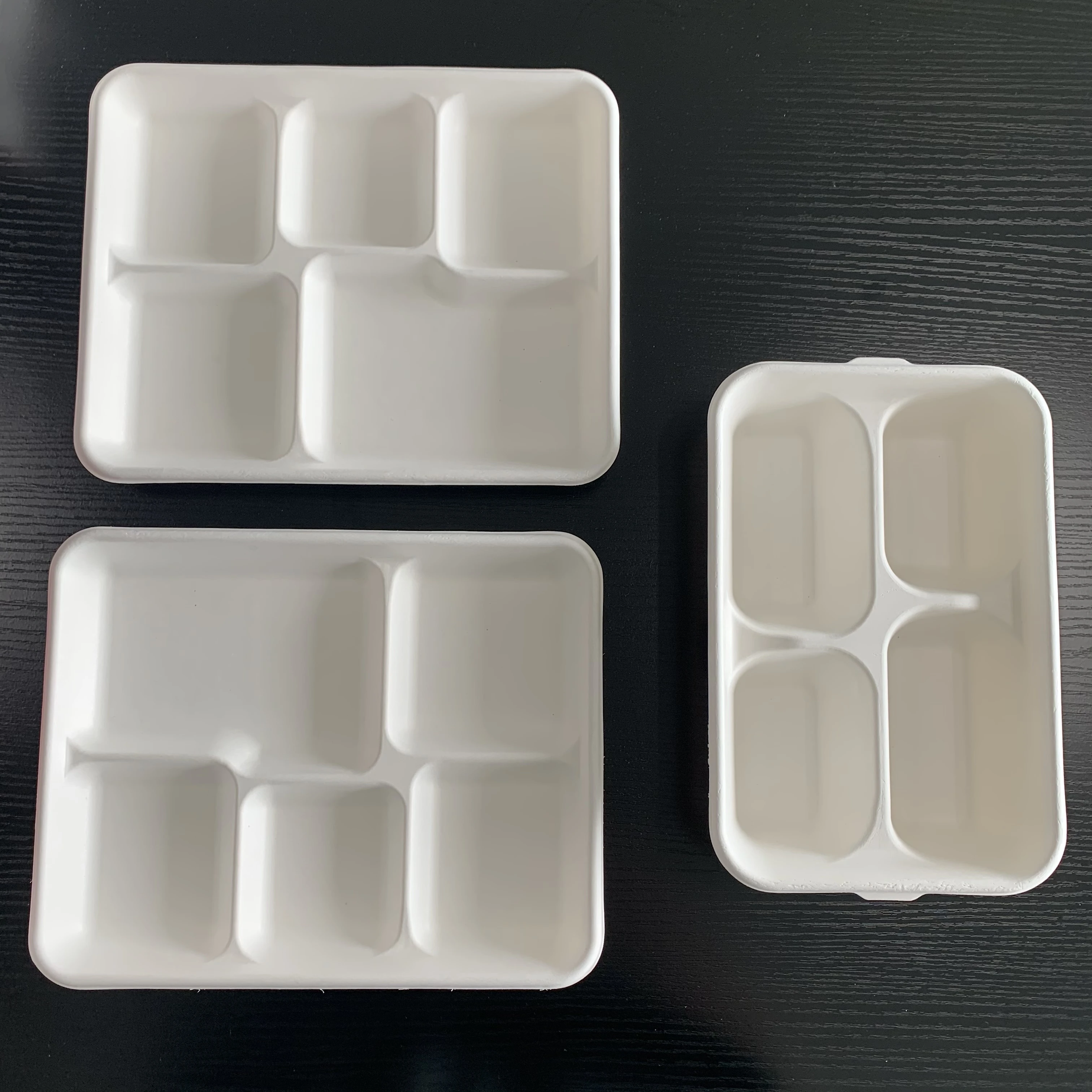 

2021 Biodegradable Paper Pulp Lunch Container Sugarcane Bagasse Food container Disposable Tableware, White color