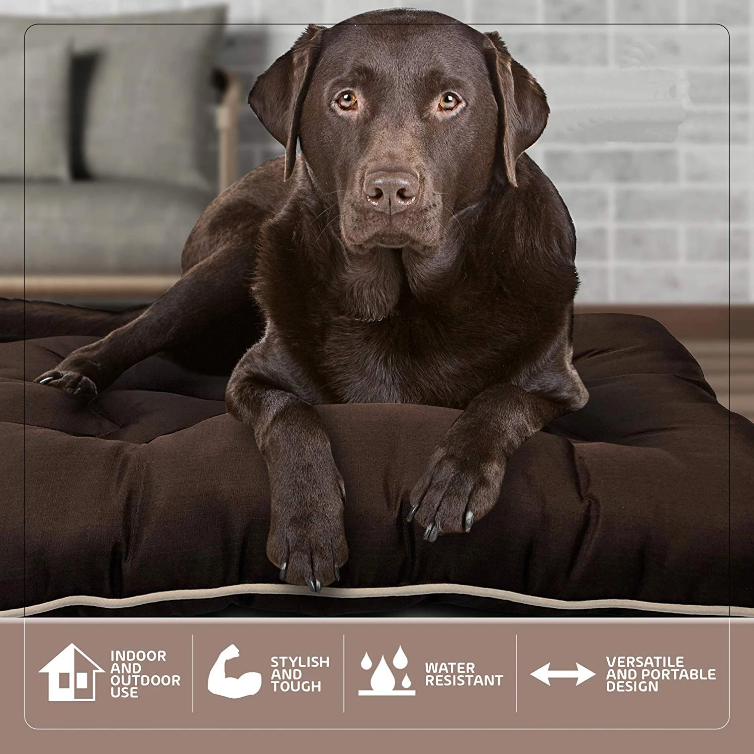 buy waterproof dog bed,pillow pet dog bed,dog sleeping bed