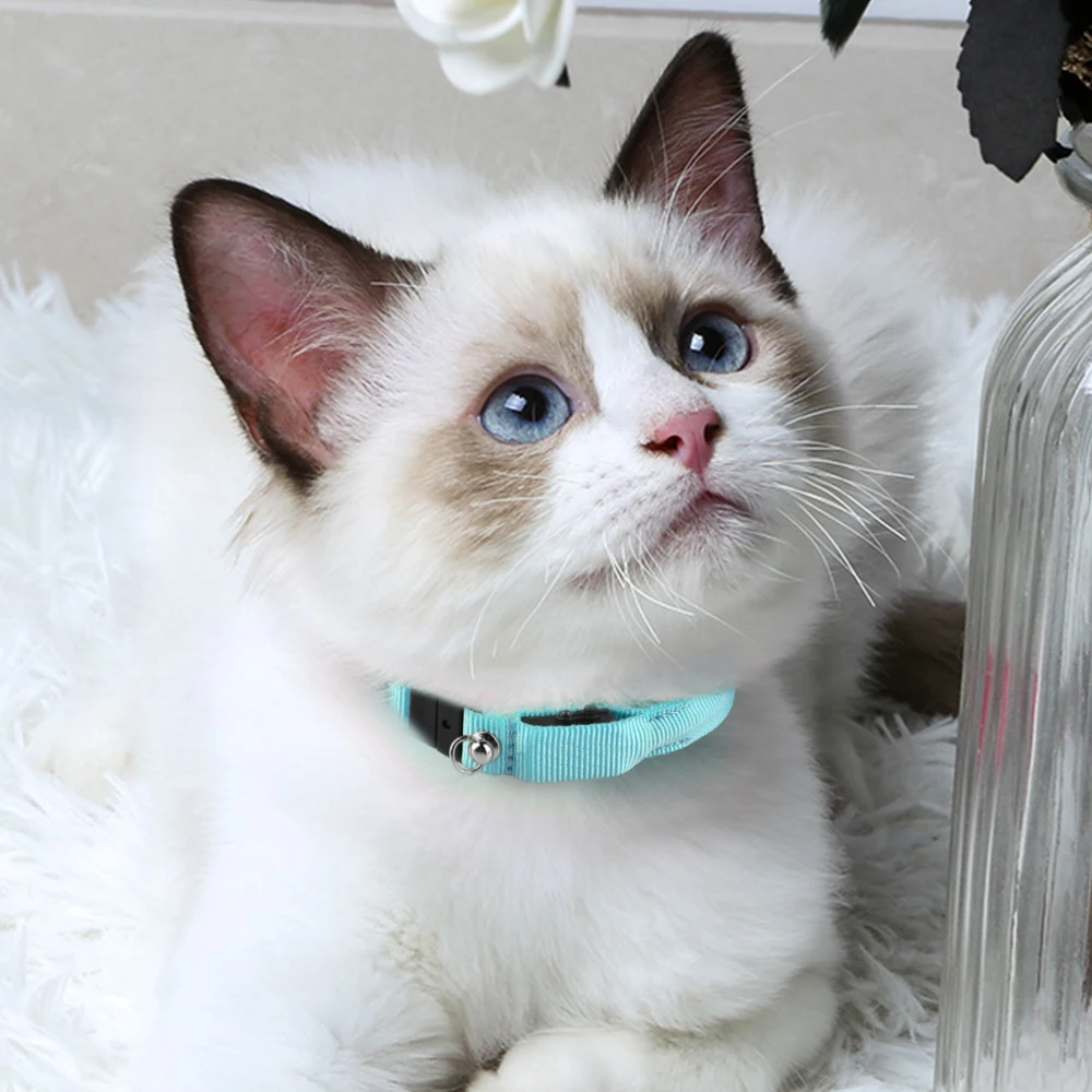 

pet accessories new optical fiber led cat light collars