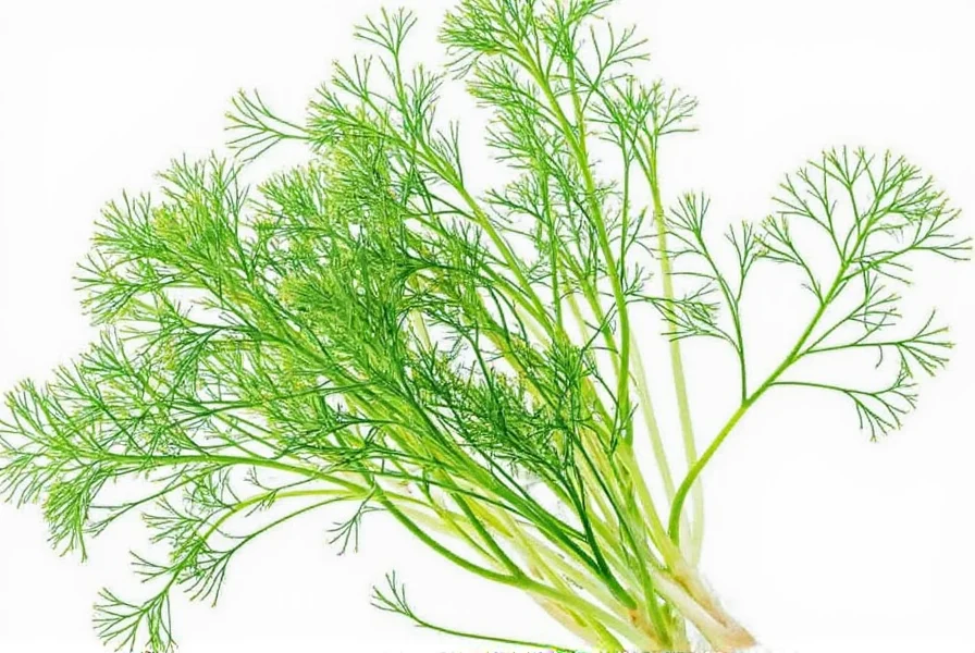 Herb Substitutes
