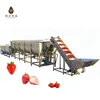 IQF Fruit And Vegetable Processing Quick Frozen Production Line