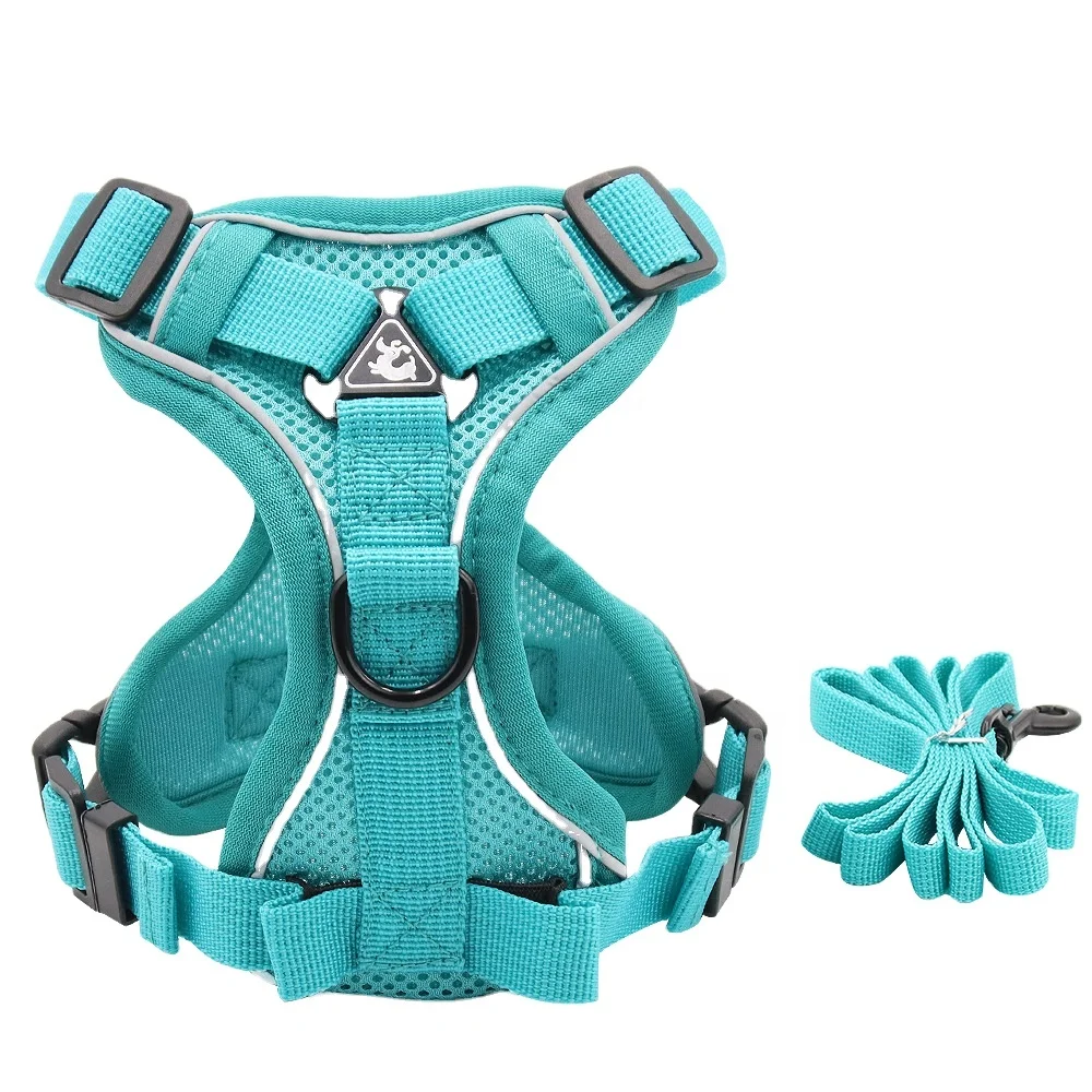 

Popular Custom Design Dog Harness with Matching Collar Leash Bow Tie and Bandana Set Neoprene Reversible Dog Harness Vest, Custom color