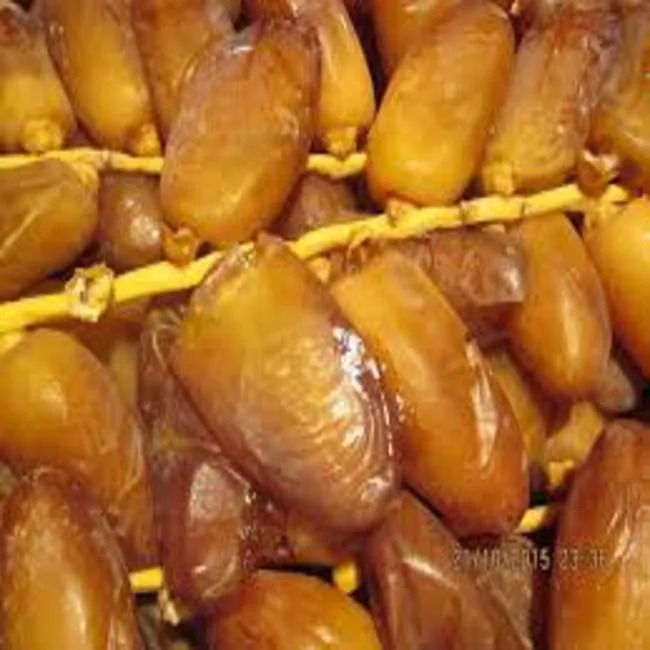 
date fresh date 100% energitic 4-5cm tunisia deglet noor , high quality , competitive price 