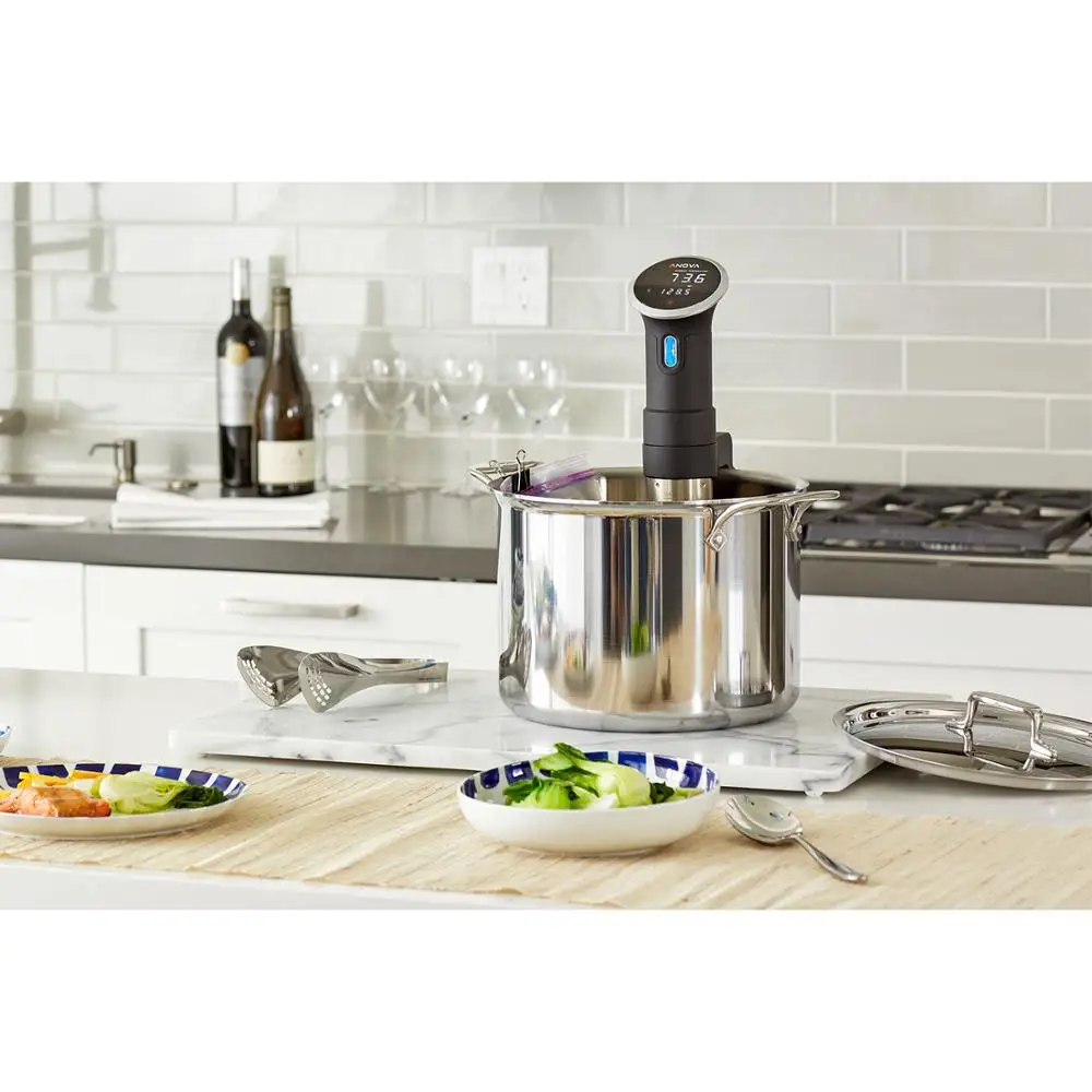 
2018 Processing Sous Vide Immersion Circulator Machine 