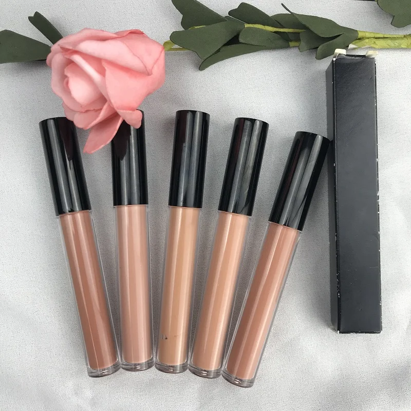 

Private Label Vegan Cosmetic Waterproof OEM Makeup Velvet Matte Nude Lipstick lipgloss, 6 colors