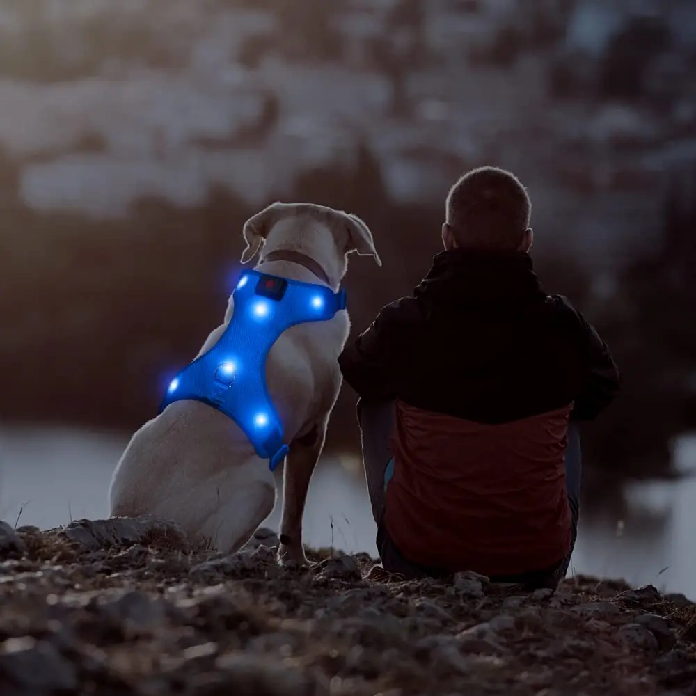 

2022 New Design LED Charge Nylon Neoprene Outdoor Rechargeable LED Dog Harness