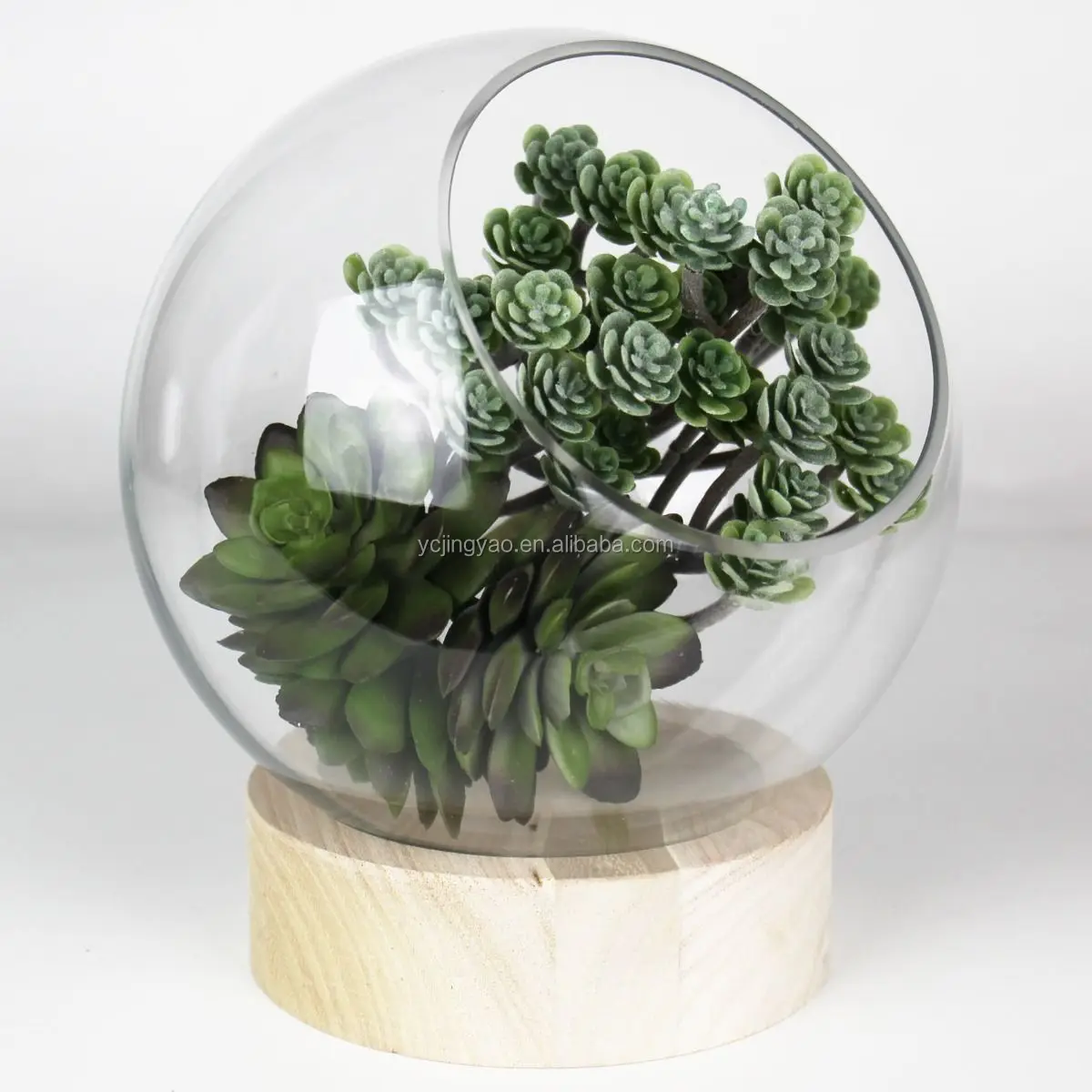 

Hand Blown Slant Cut Bubble Terrarium Bowls with Wood Base, Clear