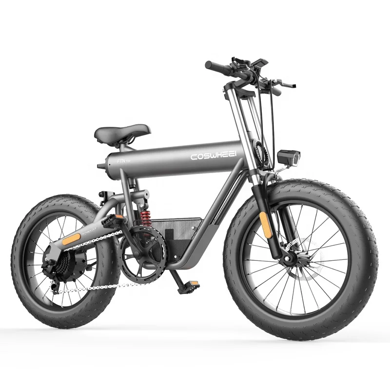 

Coswheel Fts T20 Bicycle 10Ah Battery Electric Bike Ebike 12000w E-bike Electric City Bike, Silver grey