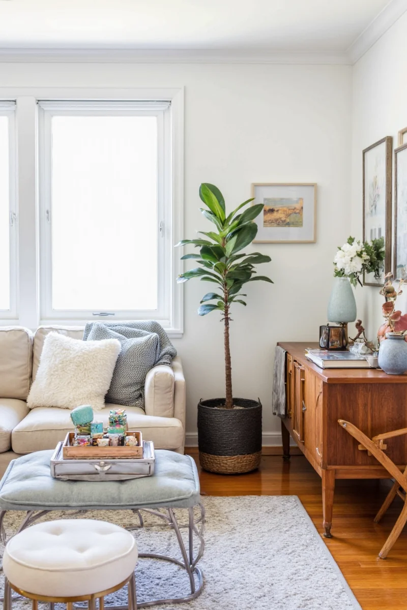 Color palette inspiration for family rooms