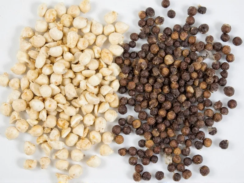 White Pepper vs Black Pepper Heat: Which Is Hotter?