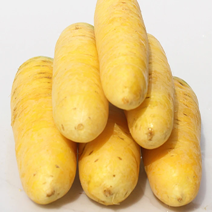 
Fresh Vegetable Chinese Radish /fresh carrot with Lowest Price 