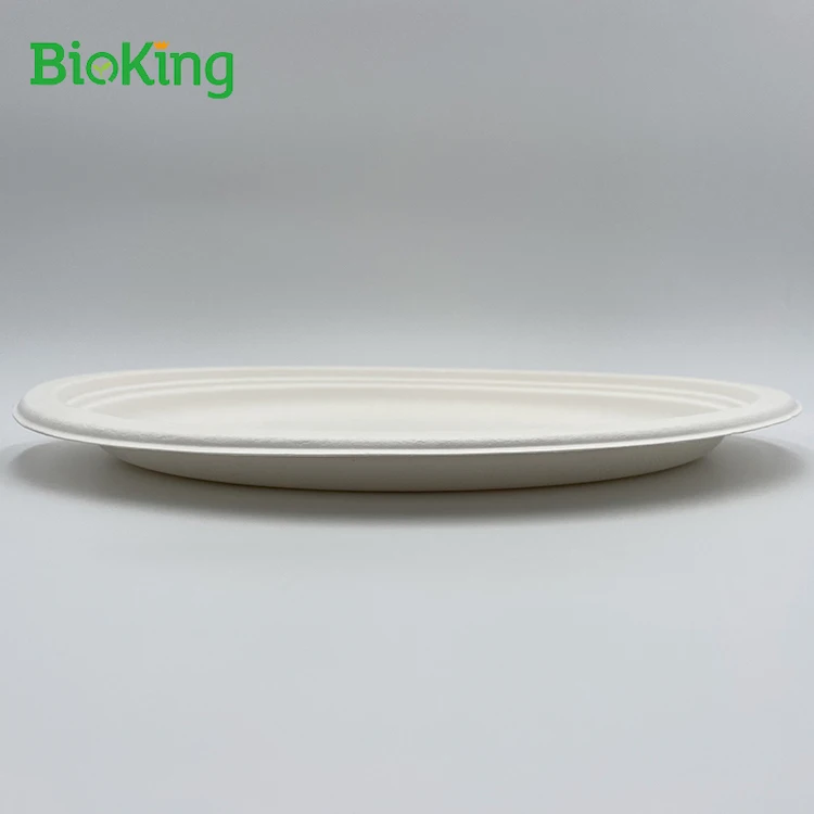 

BioKing Hot selling Sugarcane bagasse sugarcane 3 restaurant for food Square Bagasse compartment dinner plates, Bleached;unbleached