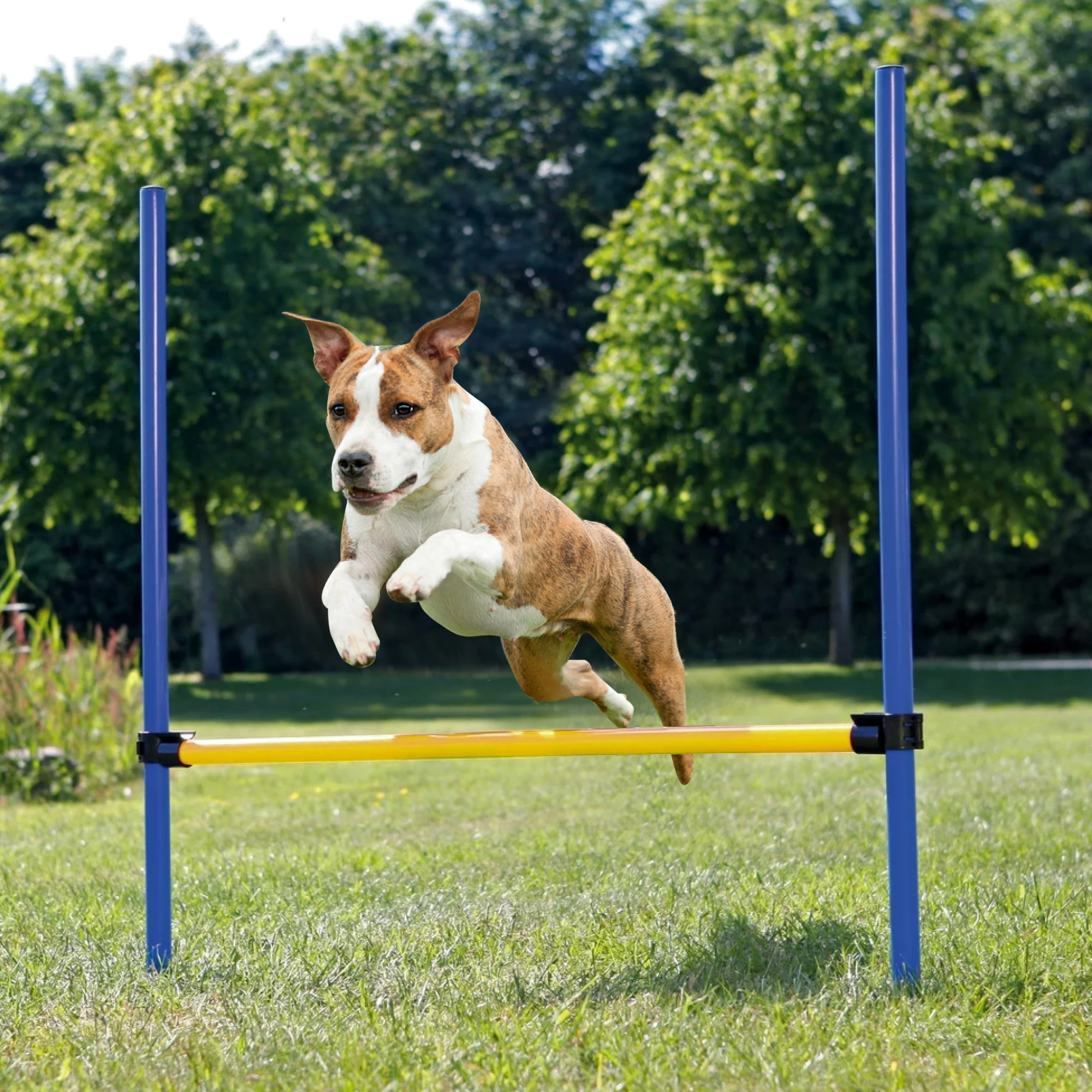 

Pawise Pet Dogs Outdoor Games Agility Exercise Training Ajustable Height Jump Hurdle Bar Training Equipment For Dogs, Blue and yellow