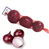 Low-cost sale of fruit and vegetable net bags for packaging of onion net bags