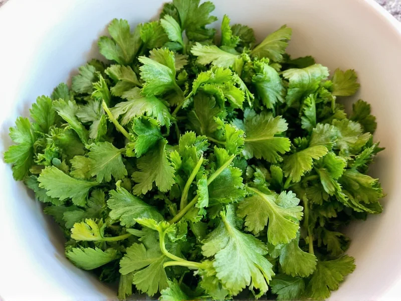How to Dry Cilantro: 3 Best Methods for Preservation