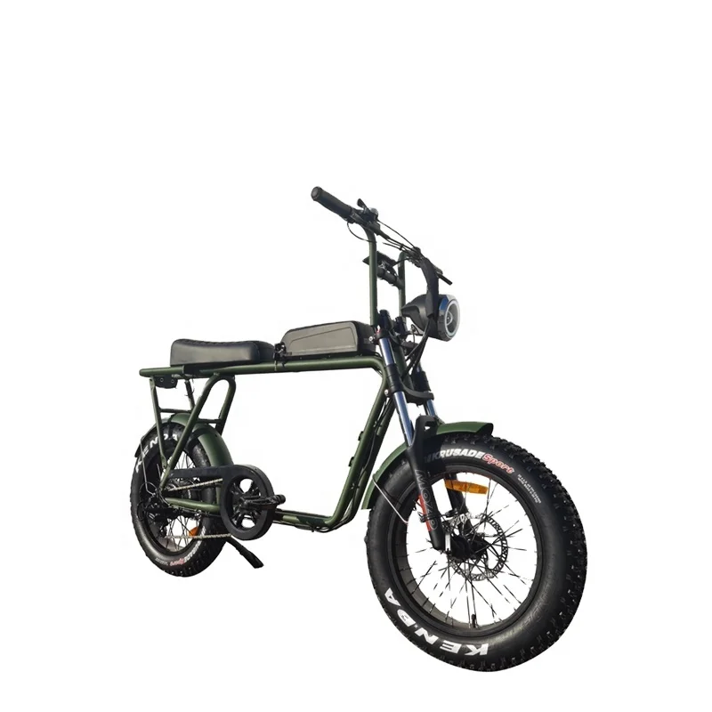 

48V 14Ah/18Ah Lithium Battery Ecotric Fat Tire Electric Bike 750W Best 73 Ebike, Green,black,white etc. optional