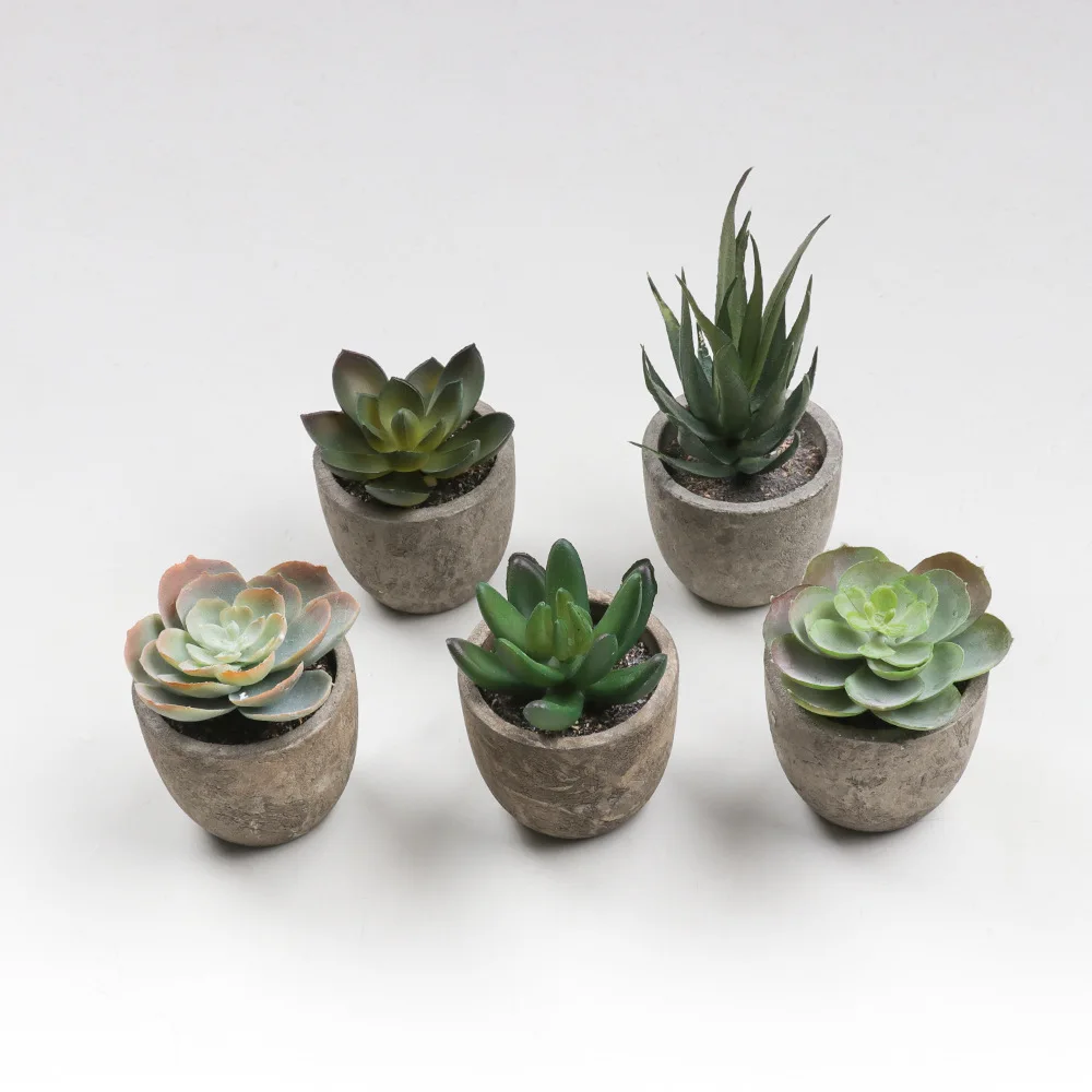 

PT004 Amazon hot sale Small green potted plants mini artificial succulent plants for desk decoration, As picture or customized