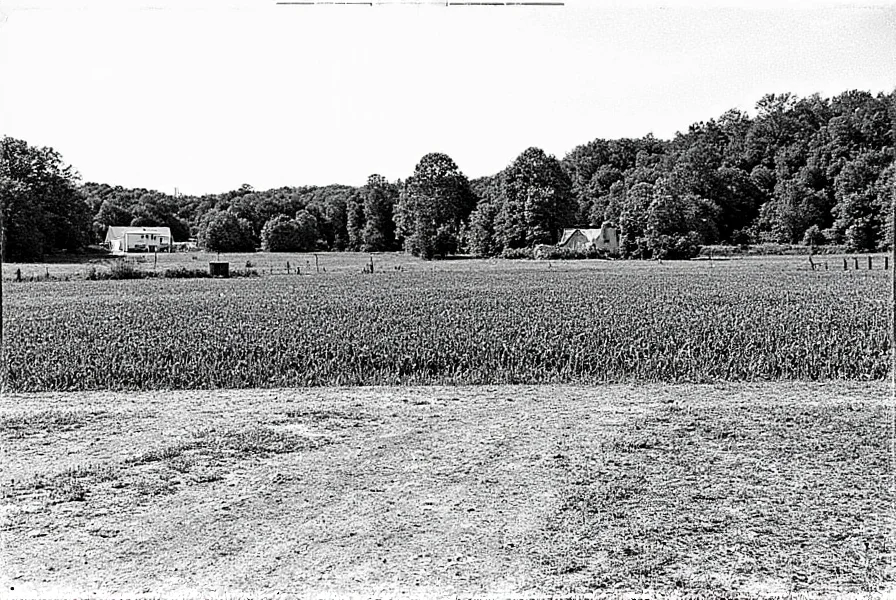 Clover Virginia: Community Profile and Historical Overview
