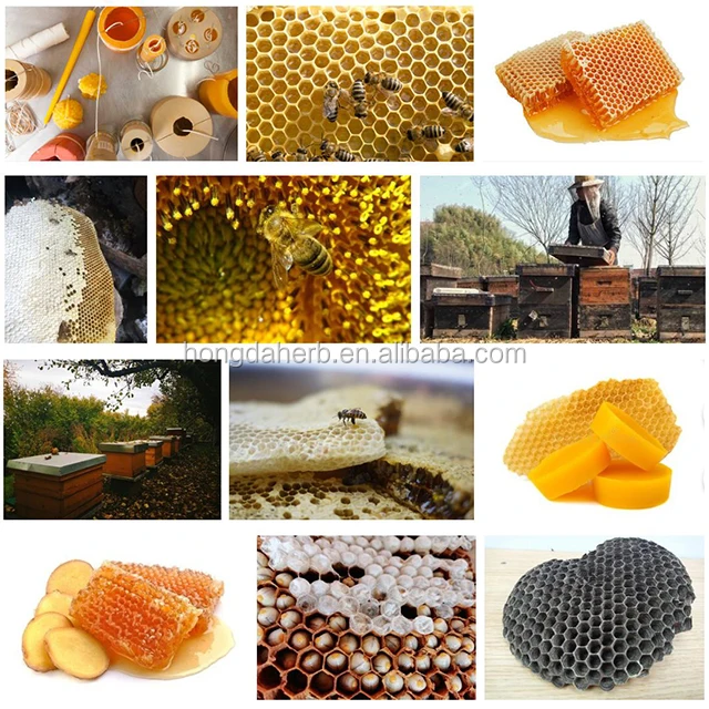 Bee pollen1.jpg