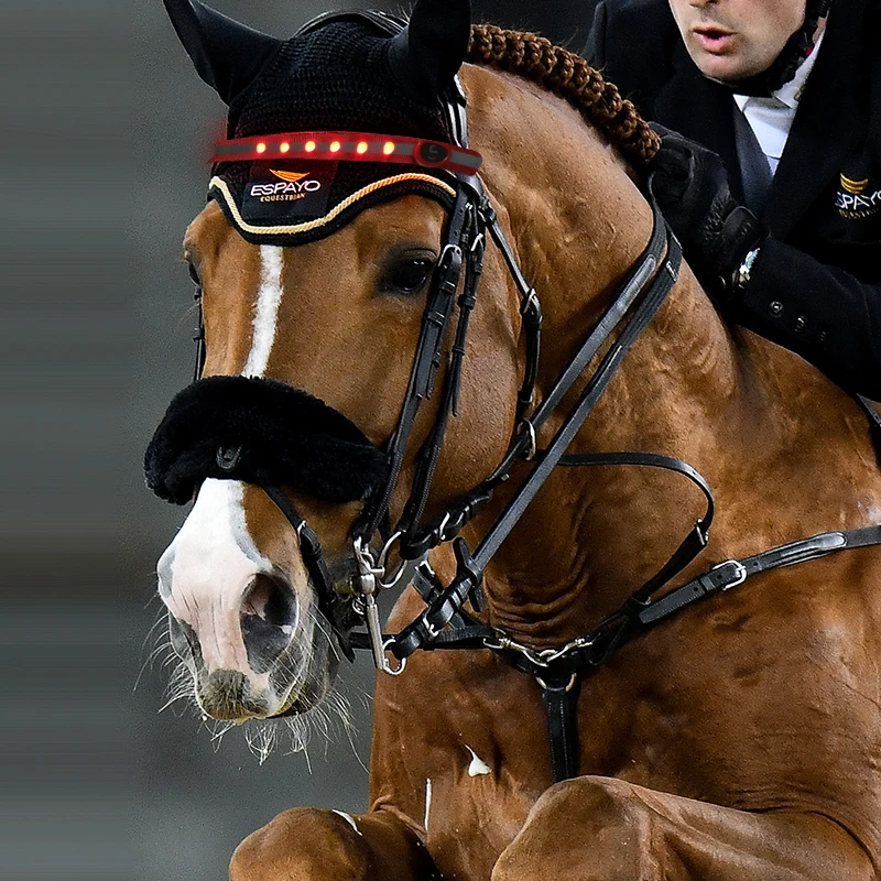 
Fashion accessory LED horse headband for ridding  (62305452146)