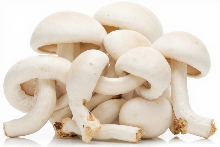 white mushrooms nutrition