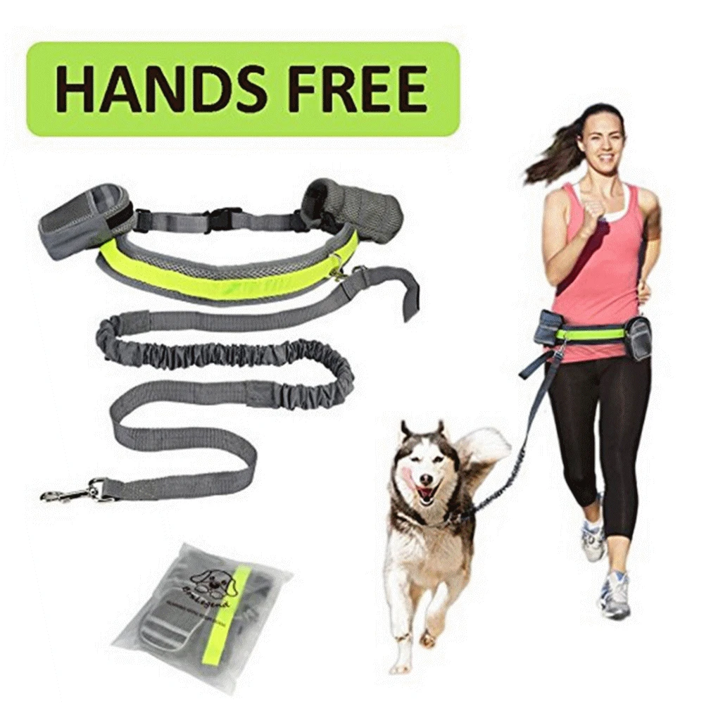 

Pet Cat Running Jogging Padded Waist Belt Reflective Strip Elastic Perfect Walking Training Dog Leash Set Hands Free