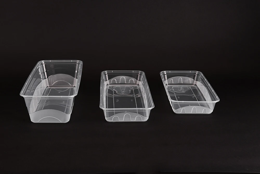 一次性塑料聚丙烯内衬长方形鱼碟